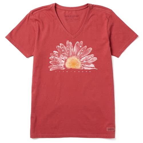 Life is Good Women's Standard Floral Print Short Sleeve Cotton Tee Graphic V Neck T Shirt, Watercolor Daisy Birds, Faded Red, X Large