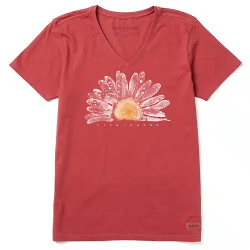 Life is Good Women's Standard Floral Print Short Sleeve Cotton Tee Graphic V Neck T Shirt, Watercolor Daisy Birds, Faded Red, X Large