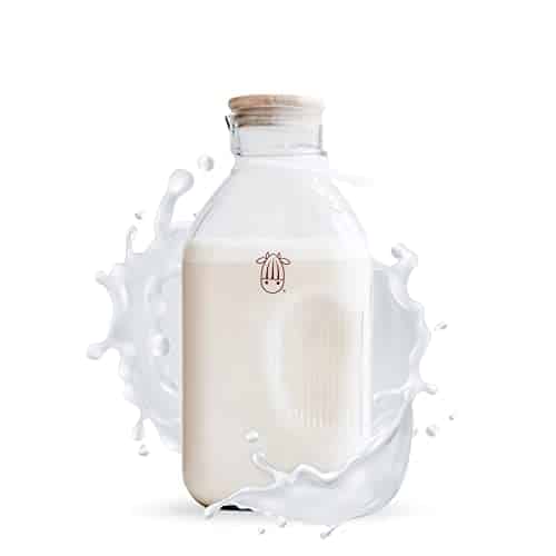 Almond Cow   Glass Pitcher with Lid and Spout, Bottle for Refrigerator, Clear Milk Jug , Food Grade Glass Liquid Container, fl oz Capacity, x x Inches