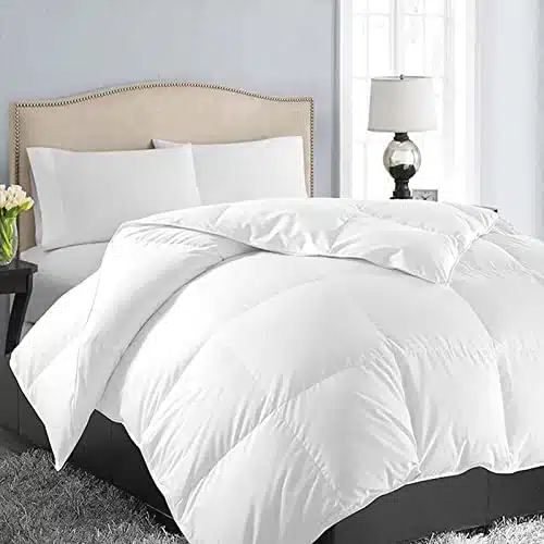 EASELAND All Season Queen Size Soft Quilted Down Alternative Comforter Reversible Duvet Insert with Corner Tabs,Winter Summer Warm Fluffy,White,xinches