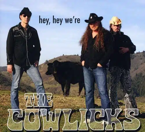 Hey Hey We're the Cowlicks