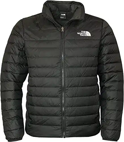 The North Face Men's Flare Insulated Down Full Zip Puffer Jacket (Large, Tnf Black)