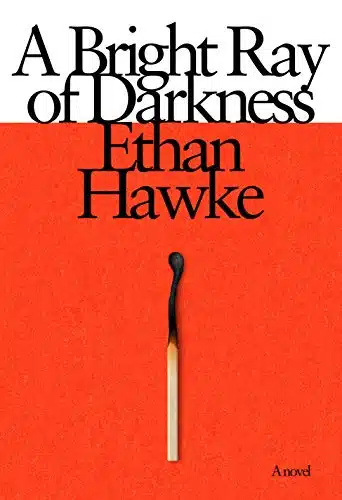 A Bright Ray of Darkness A novel