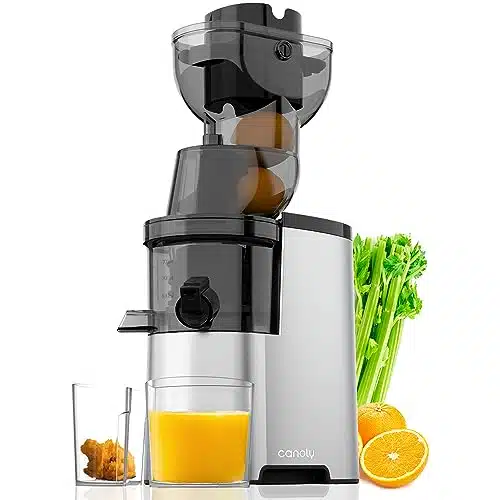 Masticating Juicer Machines, inch (mm) Powerful Slow Cold Press Juicer with Large Feed Chute, Electric Masticating Juicers for Vegetables and Fruits, Easy to Clean with Brush