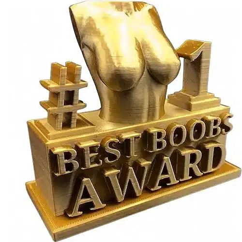 BEMKWG Best Boobs Award Female Body Figure Sculpture Trophy Decor Novelty Mischievous Boobs Resin Statue Trophy Funny Home Office Desktop Decoration, for Prank Gift Friend Coworker (Small)